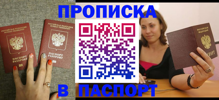 прописка паспорт в Сальске